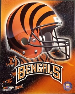 Cincinnati Bengals 2000 Team Helmet Logo 8x10 Photo Ebay
