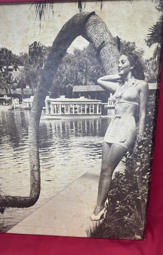 Vintage FLORIDA'S SILVER SPRINGS ROADSIDE SIGN Photo Hanging Bikini Swim Suit - 第 2/4 張圖片