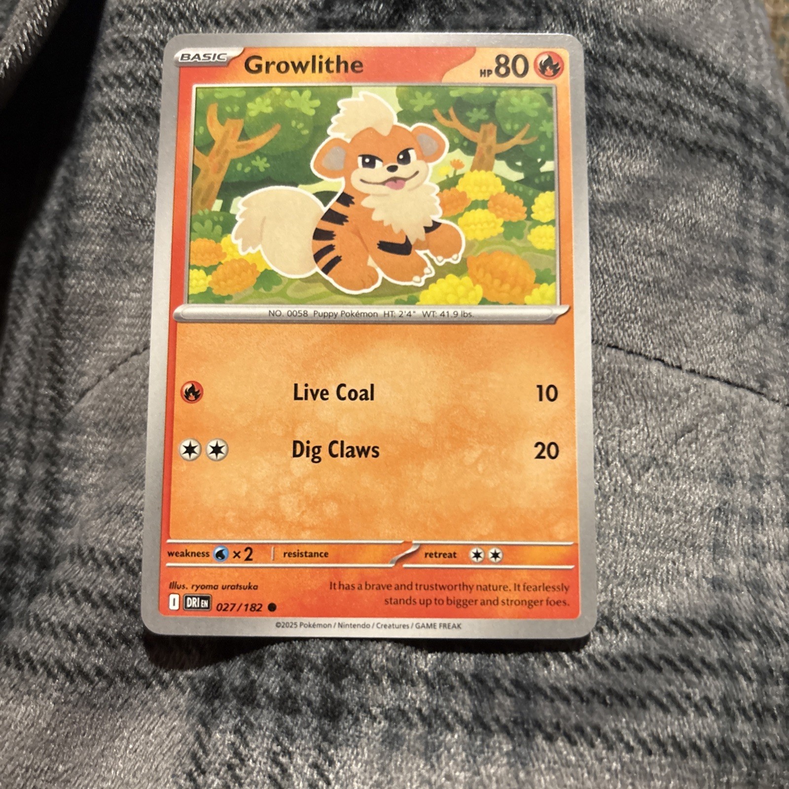 Growlithe 027/182 Common Regular - Pokemon TCG Destined Rivals NM