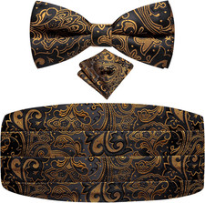 Mens Cummerbund and Bow Tie Set Paisley Floral Pretied Bowties for Men Pocket Sq