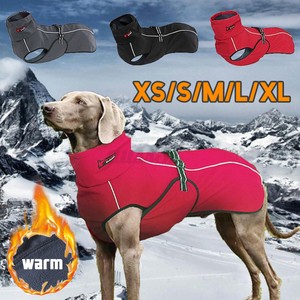 large dog jackets for winter
