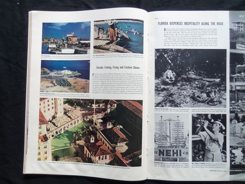 1938 JANUARY 10 LIFE MAGAZINE - KOALAS - L 60 - Picture 5 of 8