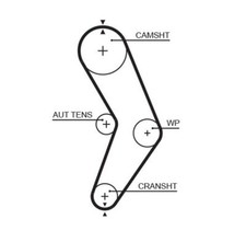 Fits GATES K015662XS Timing Belt Set   DE Stock