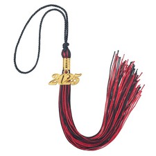 Graduation Tassel 2025 Black and Red with Gold Year Date Charms Academic