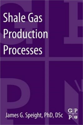 Shale Gas Production Processes (Paperback or Softback)