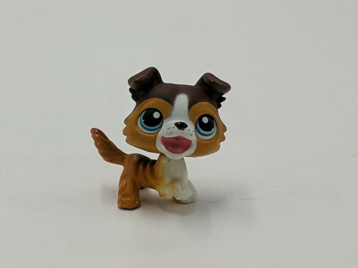 Littlest Pet Shop} LPS #237 Brown Collie Dog Puppy Aqua Eyes 2006