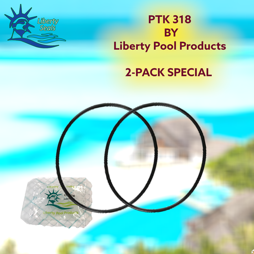 8050436 8050436B PTK318 (2PK) Waterway Champion Swimming Pool Pump