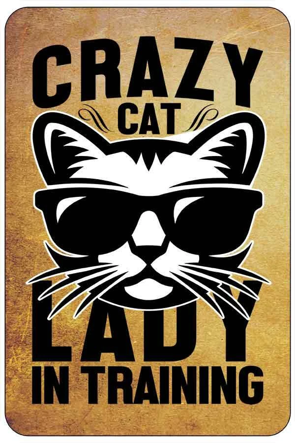 Funny christian plays for christmas