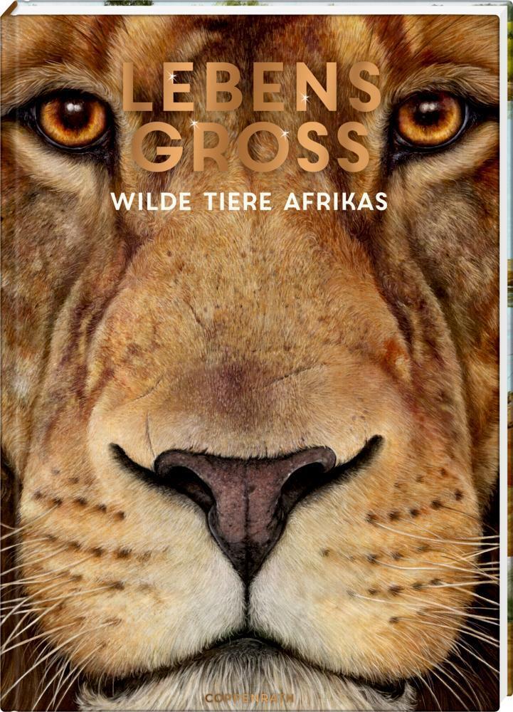 Thumbnail - Lebensgroß | Wilde Tiere Afrikas | Holger Haag | Buch | Nature Zoom |