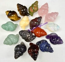 Wholesale Lot 15 Pcs Mix Crystal Sea Shell Healing Energy