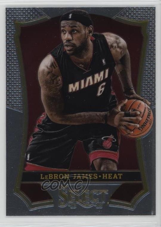 2013-14 Panini Select LeBron James #24