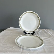 Corelle Spring Blossom  Crazy Daisy Green 10.25” Plates Set Of 4 8c