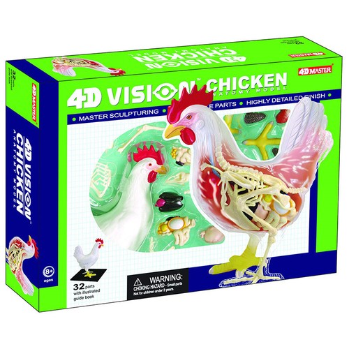 Puzzle toys CHICK Animal anatomy modell teaching model - Picture 3 of 6