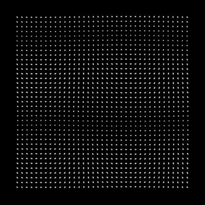 Morgan Zarate - Hookid (12'') (Very Good Plus (VG+)) - 2634526041