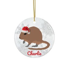 Degu Ornament Gift Common Degu Mom Dad Personalized Christmas Tree Decoration