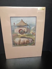 Antique chromolithograph showing pigs and turkeys. This charming print comes...