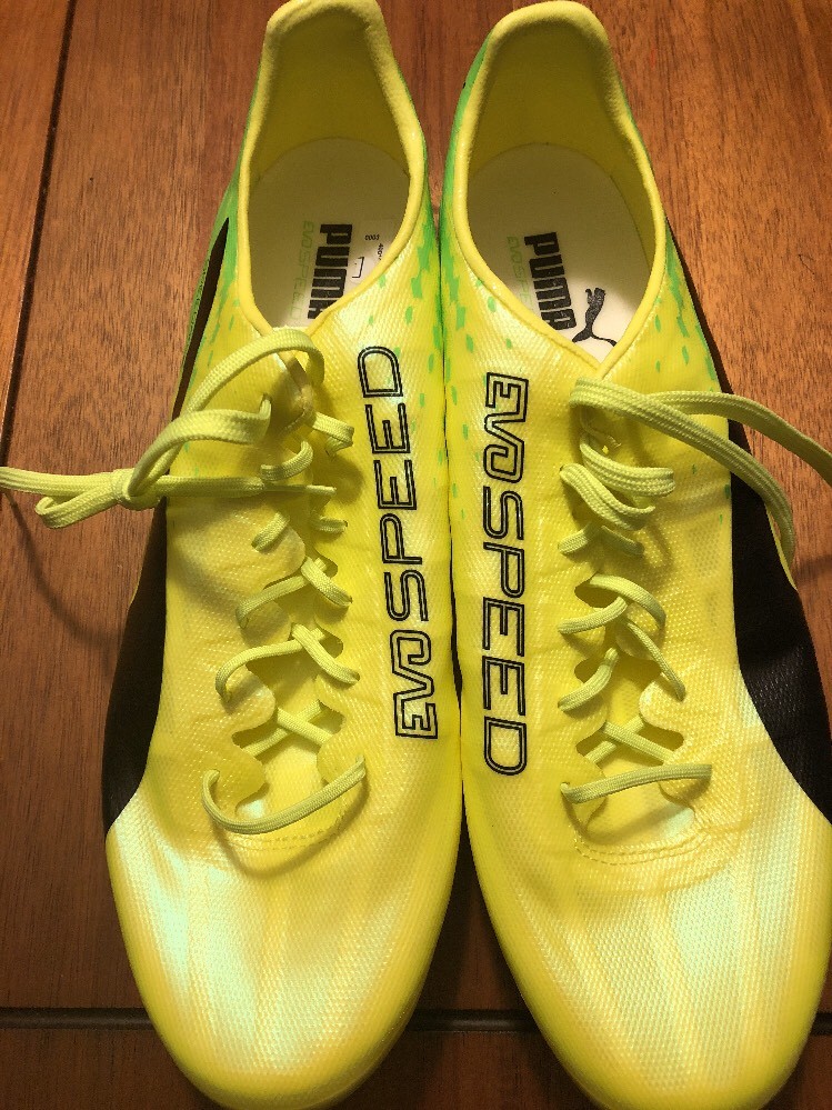 puma evospeed 17 sl fg