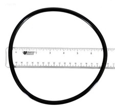 O-Ring, lid (b)