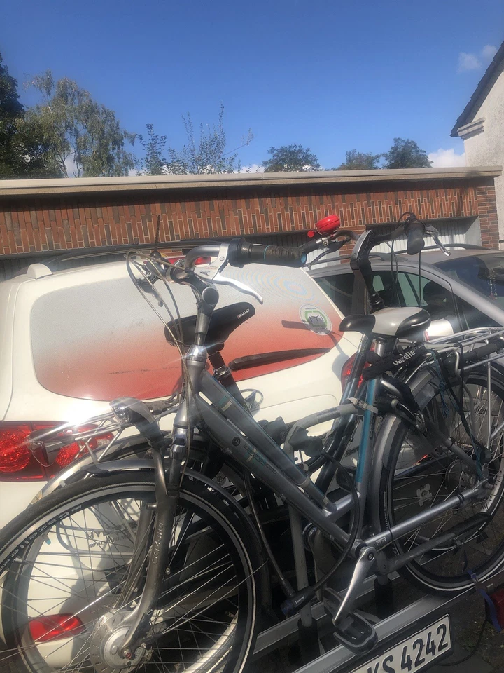 gazelle  - Bild 3 von 3