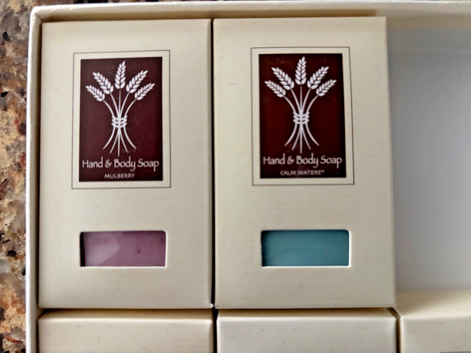 Set of 5 Hand & Body Soap Bars