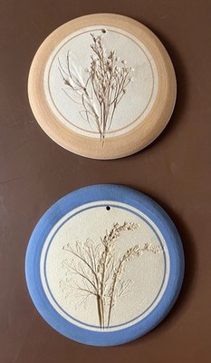 Decorative Handcrafted Round Plaster Wall Plaques Botanical Impressions 5 Inches