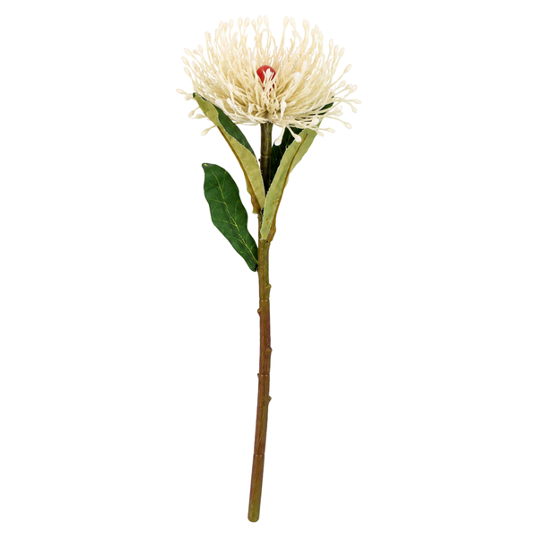Layba Nadelkissen Protea Kunstblume Weiß 40 Cm-image