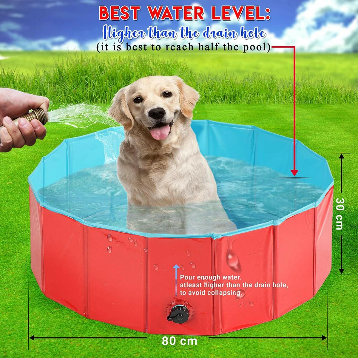 Big dog swimming pool sales