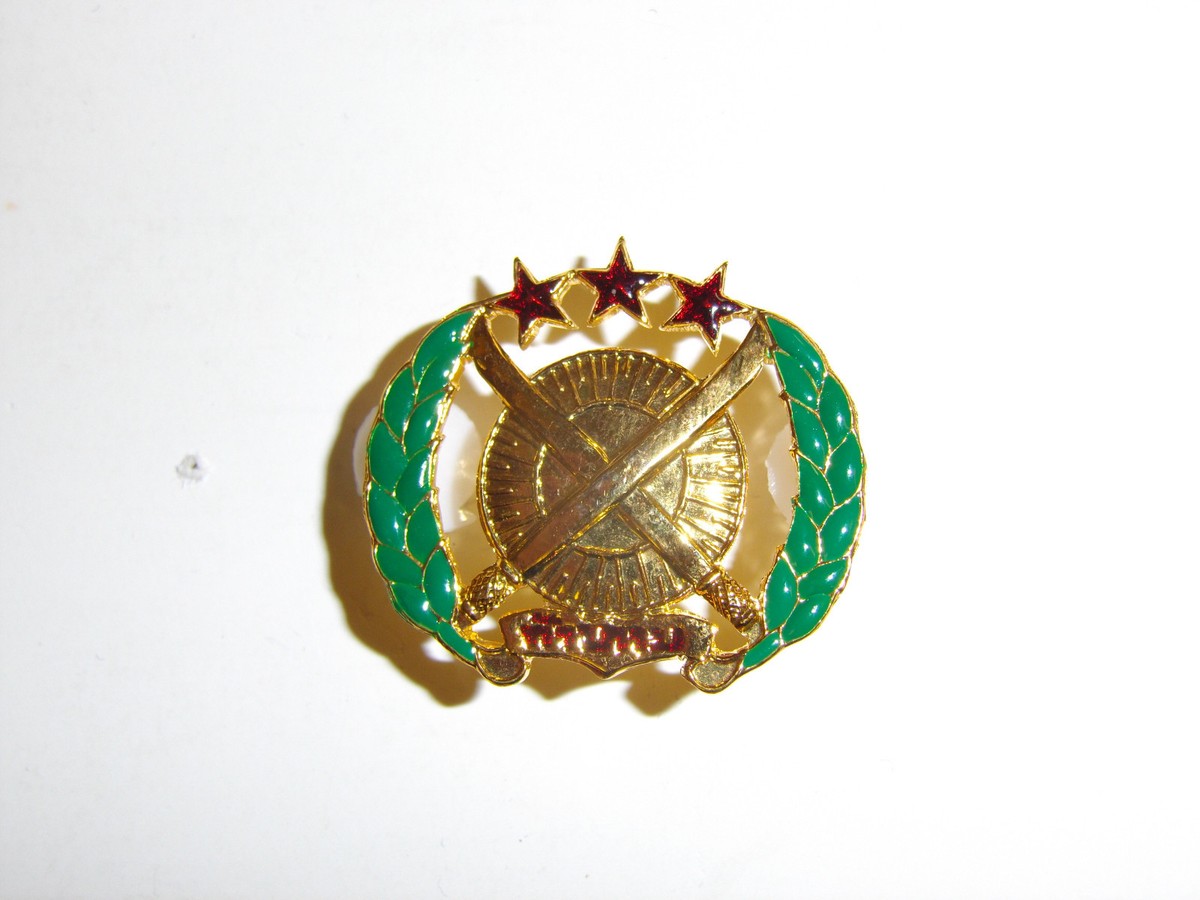 b1496 Vietnam Era LAOS Royal Laotian Army Outstanding Solider