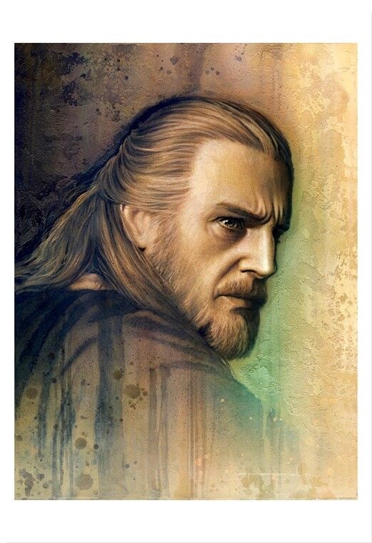 Qui-Gon Jinn  Star wars images, Star wars pictures, Star wars art