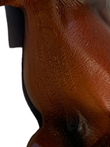 Semental Collecta 2010 de Hannoverian marrón oscuro caballo - Imagen 3 de 4