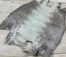 Natural Genuine Ring Lizard Leather Hide Exotic Skin Teju Tegu Iguana real 134