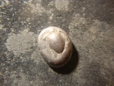 525-480 BC Silver Stater Sea Turtle Greece Aegina 6th Century B.C. 12.2 Gr