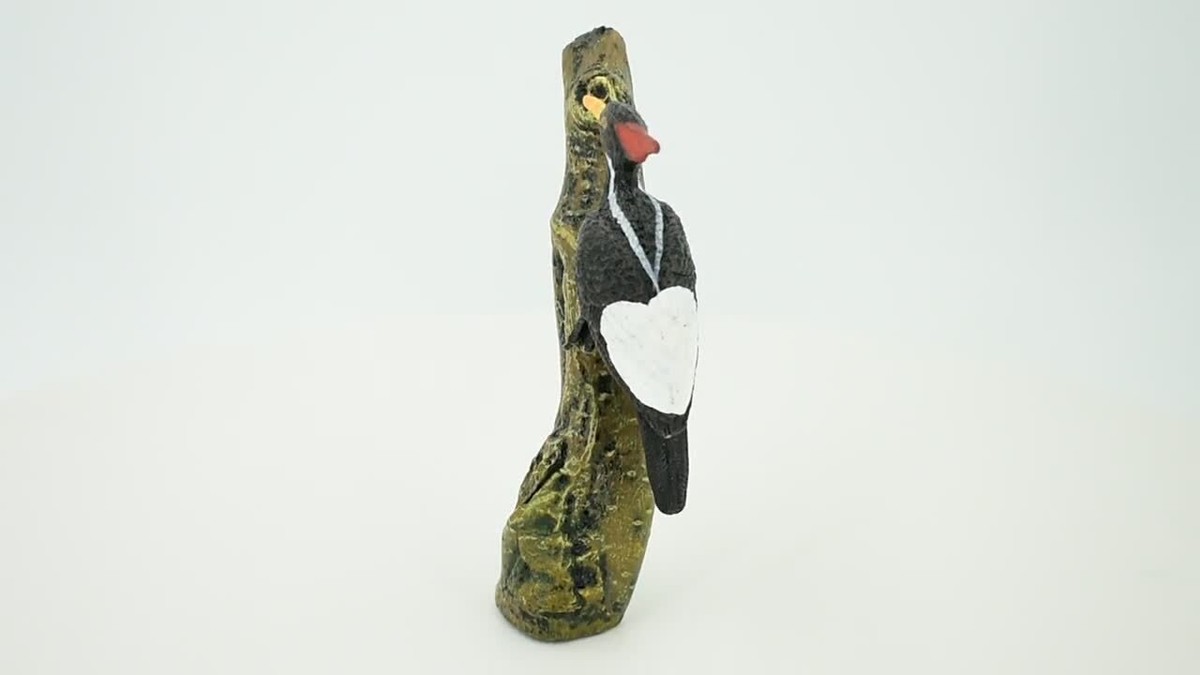 Pileated Woodpecker Plastic Bird, Realistic Toy Figure, Model, 4