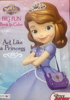 HTF BN Sofia the First Big Fun Book to Cover Act Like A Princess | eBay
