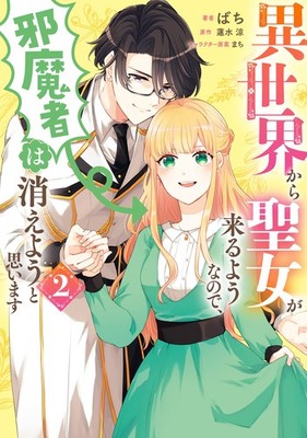Drumstick It Seems That A Saint Is Coming From Another W (Paperback) (UK IMPORT)