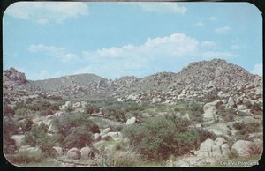 WILCOX-BENSON-AZ-Texas-Canyon-Dragoon-Mountains-Vtg-PC-Old-Arizona-Postcard