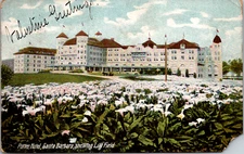 Santa Barbara California Potter Hotel & Lily Field Vintage C. 1910 Postcard