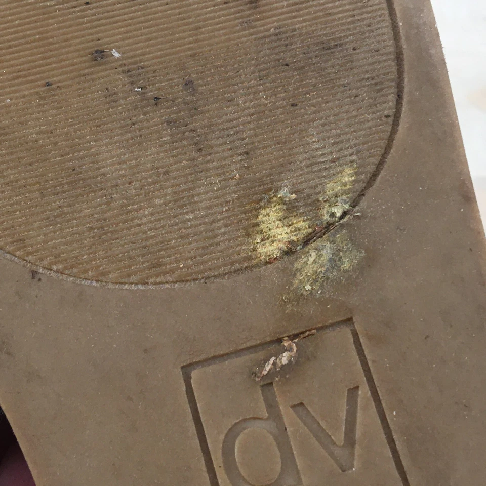 DV Dolce Vita Sandals Womens 7 Animal Print Slides Slip On Flats Casual Open Toe - Image 4 of 4