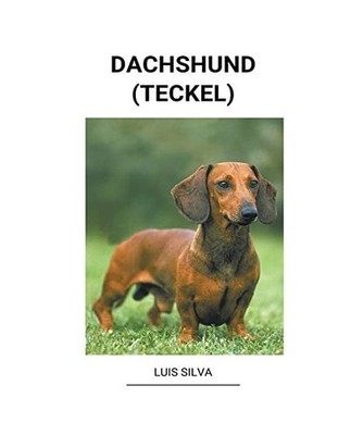 Dachshund [Teckel], Silva, Luis