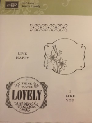 Stampin Up Clear Mount Stempelset Called You re Lovely, Brandneu