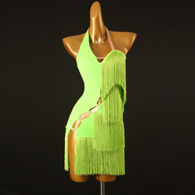 Latin Fringes Rhythm Ballroom Dance Dress Rumba Samba Salsa Performance Cha Cha