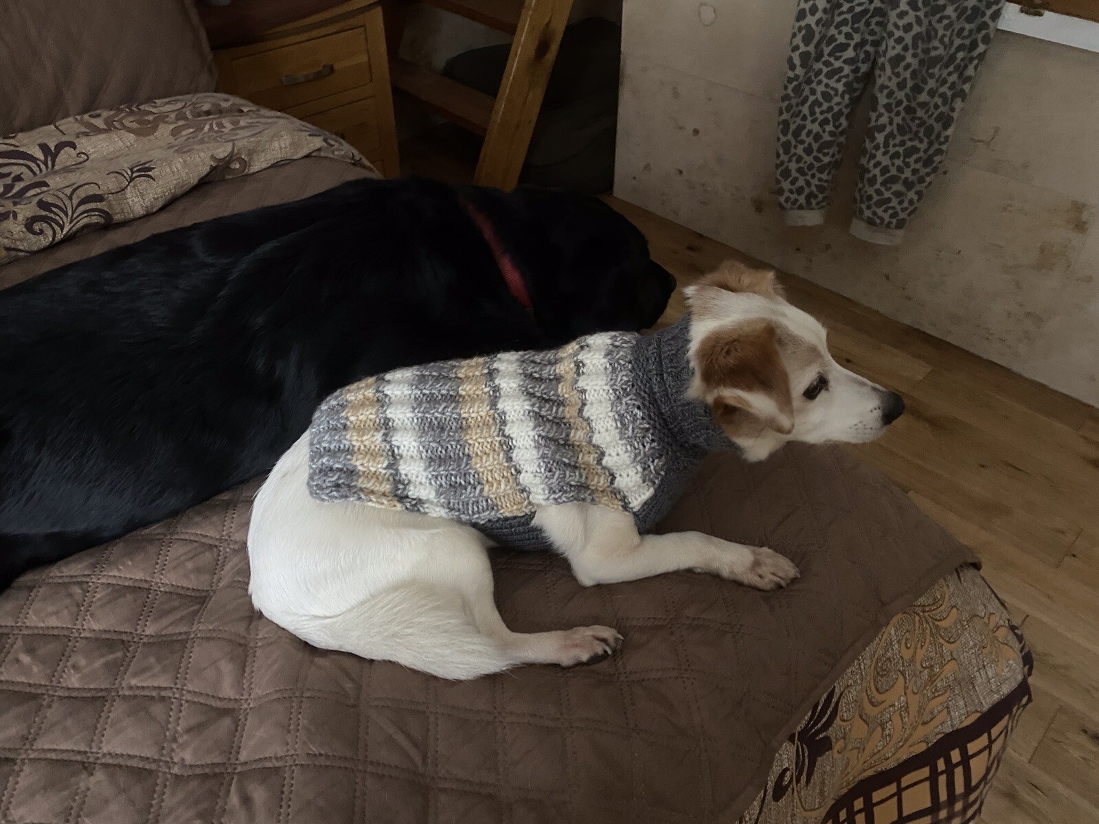 Hand Knitted Xs Chunky Dog Jumper eBay