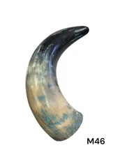 ONE MEDIUM UNPOLISHED COW HORN , REAL HORN , ONE OF A KIND , NATURAL COLOR , #46