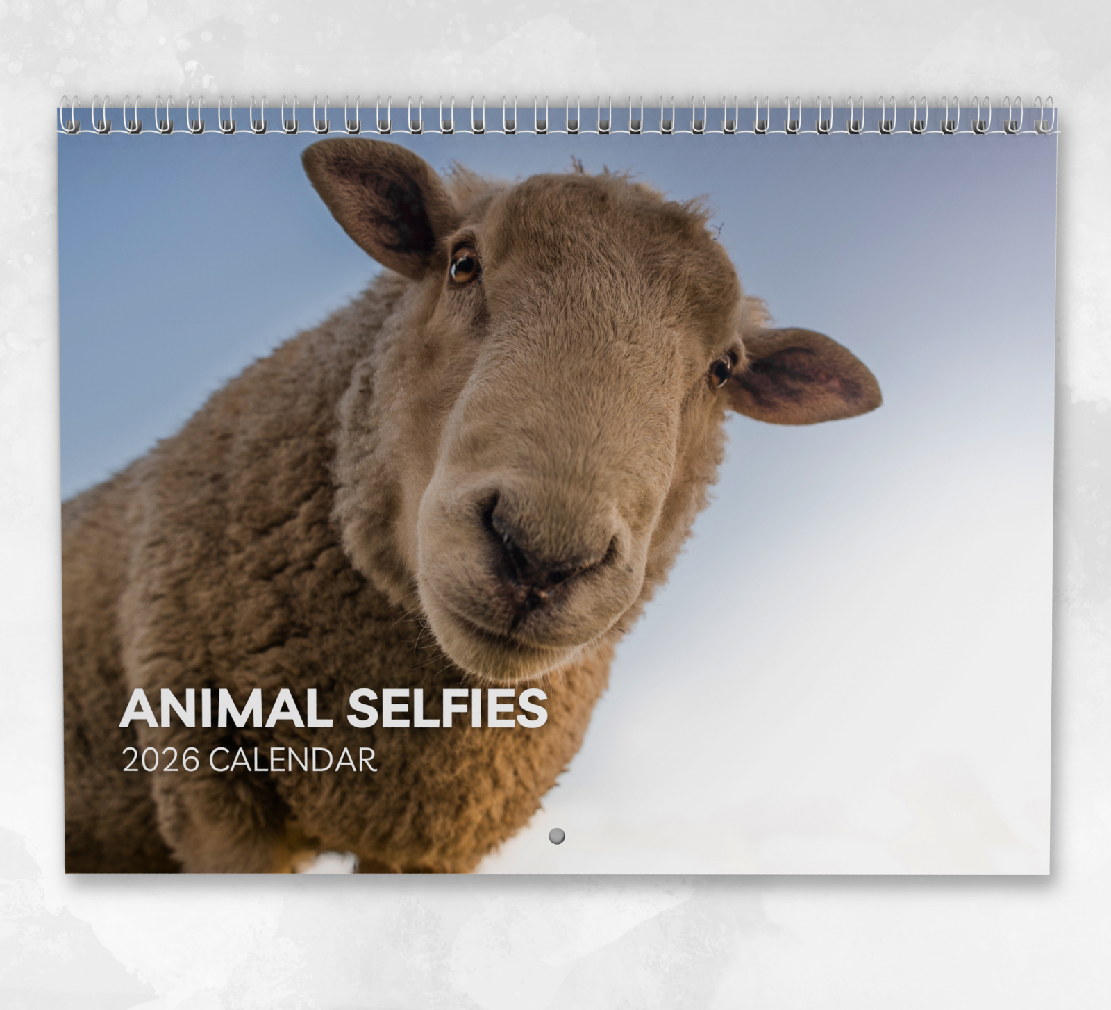 Animal Selfies Calendar 2026: Monthly Wall Calendar with Notes, opens to A3 Size
