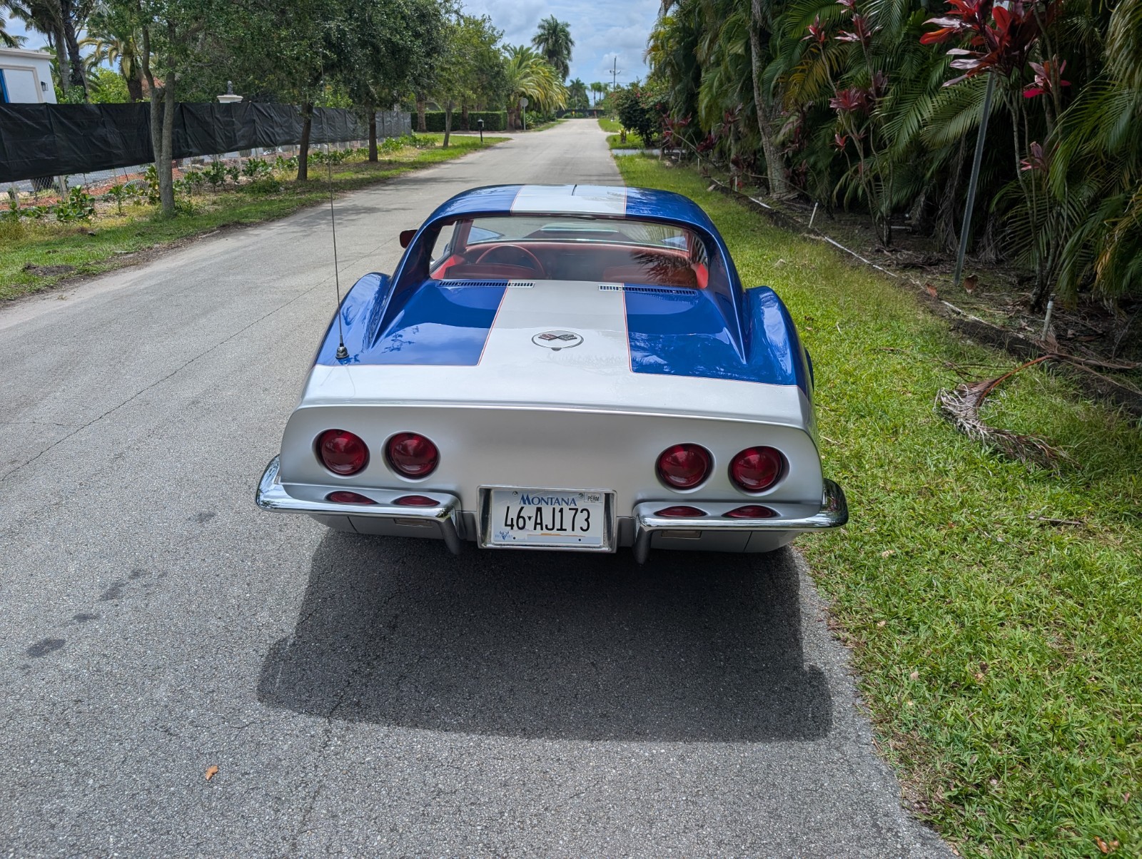 1968 Blue Chevrolet Corvette   | C3 Corvette Photo 6