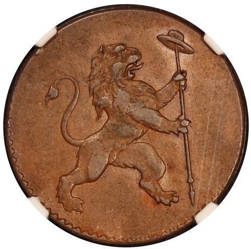 1790 Austrian Netherlands Insurrection 2 Liards Coin - NGC XF 45 BN - KM #45