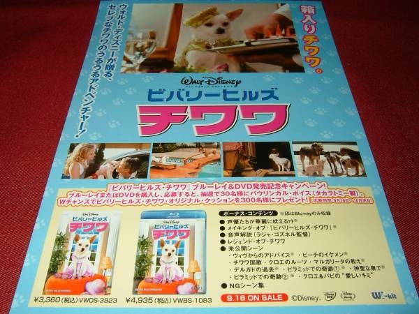 Poster Beverly Hills ChihuahuNot Sale V4