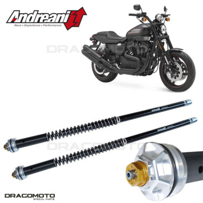 HARLEY-DAVIDSON XR 1200 2008-2013 ANDREANI 110/HD20E MISANO EVO Cartridge
