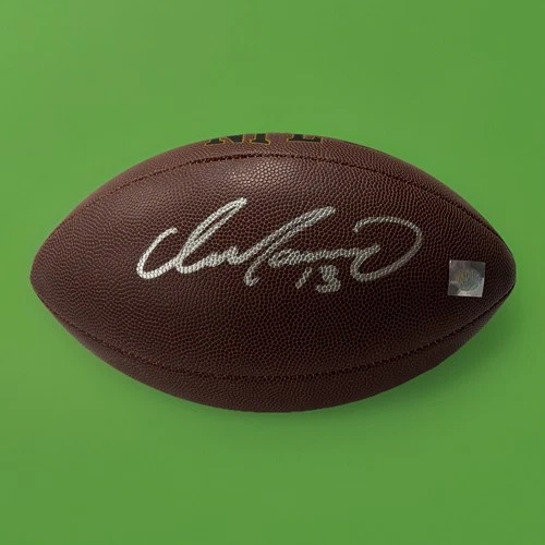 Dan Marino Signed Autographed Wilson Football Miami Dolphins Player Holo COA