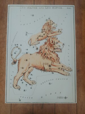 Leo Major and the Leo Minor Sidney Hall 1831 Astrological Poster